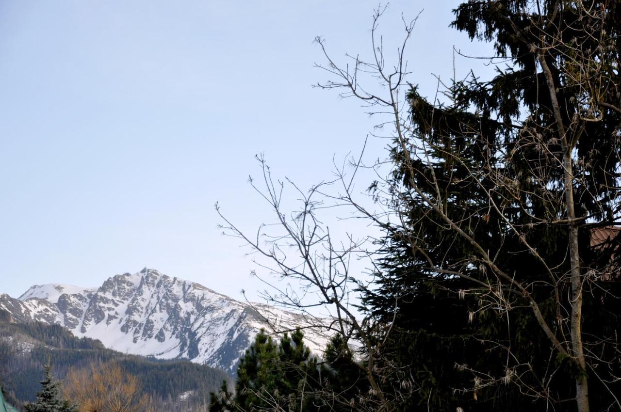 Willa Kozincowka Zakopane Exterior foto